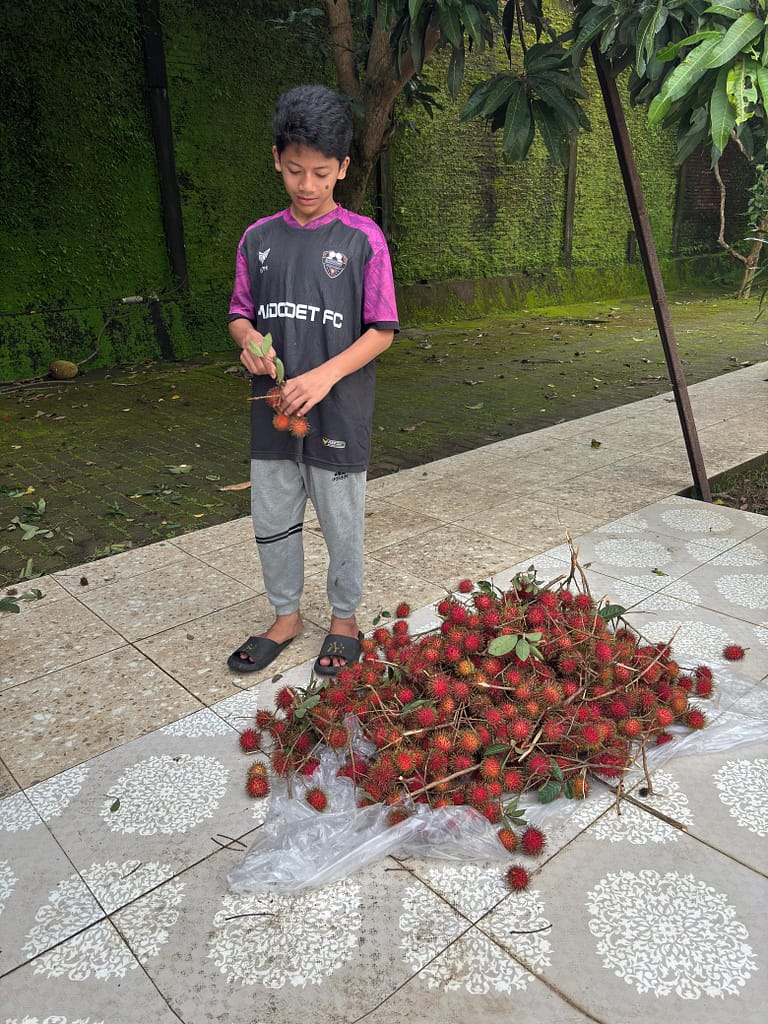 Kegiatan-Santri-Berkebun-Pondok-Pesantren-Pondok-Modern-Pondok-Tahfidz-Pondok-Pesantren-di-Jawa-Tengah-Pondok-Pesantren-di-Jepara
